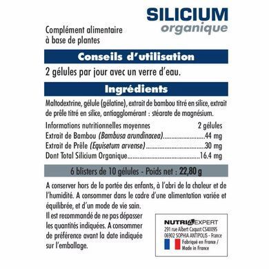 NUTRIEXPERT ОРГАНИЧЕСКИЙ КРЕМНИЙ В БЛИСТЕРАХ / SILICIUM BLISTER ORGANIQUE - блистеры 60 капсул в картонной коробке купить в Киеве и Украине