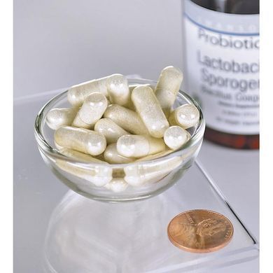 Пробіотик Lactobacillus Sporogenes Swanson (Bacillus Coagulans) 6 млрд КУО 60 капсул