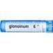 Glonoinum 6C, Boiron, Single Remedies, approx. 80 granules
