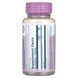Ayurvedic herbs, tropical mint, 400 mg, 60 vegetarian capsules