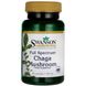 Чага Гриб Swanson (Full Spectrum Chaga Mushroom) 400 мг 60 капсул фото
