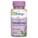 Ayurvedic herbs, tropical mint, 400 mg, 60 vegetarian capsules