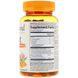 Куркума Garden of Life (Turmeric Inflammation Response) 63.5 мг 120 жевательных конфет фото