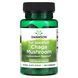 Чага Гриб Swanson (Full Spectrum Chaga Mushroom) 400 мг 60 капсул фото