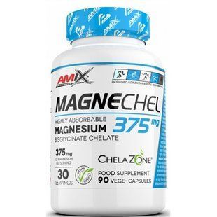 AMIX, Performance Amix MagneChel Magnesium Chelate - 90 веган капс купить в Киеве и Украине