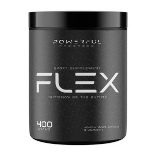 FLEX Powerful Progress 400 g green apple купить в Киеве и Украине