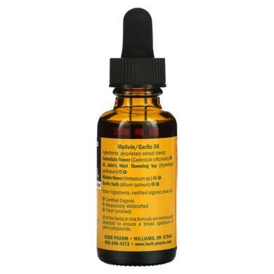 Mullein Garlic Oil