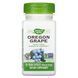 Root of Oregon grape, 500 mg, 90 vegetarian capsules