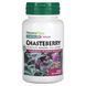 Extract of Chaste Tree fruit Natures Plus (Chasteberry) 150 mg 60 capsules