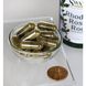 Корінь родіоли, Rhodiola Rosea Root, Swanson, 400 мг, 100 капсул фото