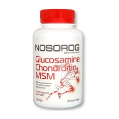 Glucosamine Chondroitin MSM NOSOROG 120 tab купить в Киеве и Украине