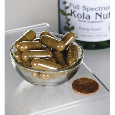 Кольский Орех Swanson (Full Spectrum Kola Nut) 550 мг 180 капсул купить в Киеве и Украине