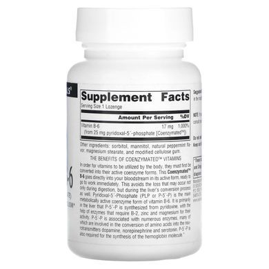 Витамин B-6 с коферментами Source Naturals (Coenzymated B-6) 25 мг 120 подъязычных таблеток купить в Киеве и Украине