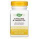 Холин и инозитол Nature's Way (Choline & Inositol) 500 мг 100 вегетарианских капсул фото