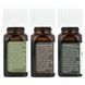 Aura Cacia, набір &laquo;Walk In The Woods&raquo;, суміш чистих ефірних олій, 3 флакони по 7,4 мл (0,25 рідк. унції) фото