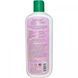 Shampoo with fern extract Aubrey Organics 325 ml
