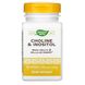 Холін і інозитол, Choline & Inositol, Nature's Way, 500 мг, 100 вегетаріанських капсул фото
