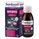 Самбукол сироп для иммунитета Черная бузина + Витамин С для детей от 1 года Sambucol (Kids Liquid) 120 мл фото