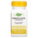 Рибофлавин, витамин B2, выработка энергии, Enzymatic Therapy, 400 мг, 30 таблеток фото