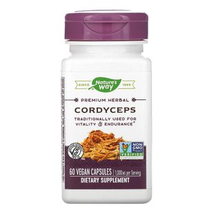 Кордицепс Nature's Way (Cordyceps) 1000 мг 60 капсул купить в Киеве и Украине