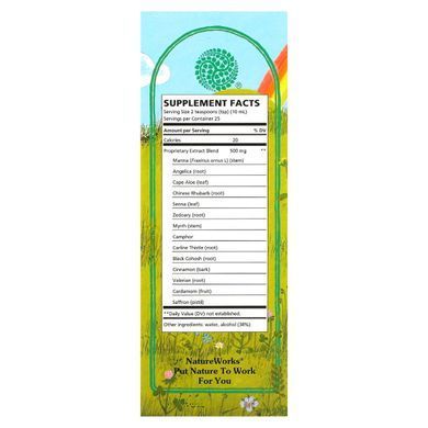 NatureWorks, Swedish bitter tincture, Abkit, 8.45 liquid ounces (250 ml)