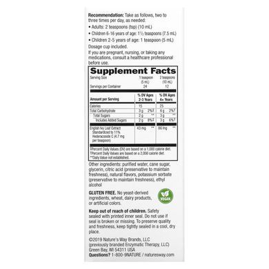 Отхаркивающий сироп Enzymatic Therapy (Bronchial Soothe) 120 мл купить в Киеве и Украине