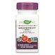 Екстракт грейпфрутової кісточки Nature's Way (Grapefruit) 250 мг 60 капсул фото