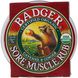 Мазь от боли в мышцах кайенский перец и имбирь Badger Company (Organic Sore Muscle Rub Cayenne & Ginger) 56 г фото