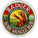 Мазь від болю в м'язах каєнський перець та імбир Badger Company (Organic Sore Muscle Rub Cayenne & Ginger) 56 г фото