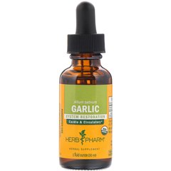 Часник екстракт органік Herb Pharm (Garlic) 30 мл