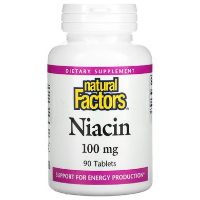 Ніацин Вітамін B3 Natural Factors (Niacin Vitamin B3) 100 мг 90 таблеток