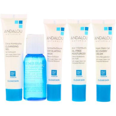 Набір по догляду за обличчям (Skin Care Essentials), Andalou Naturals, 5 шт