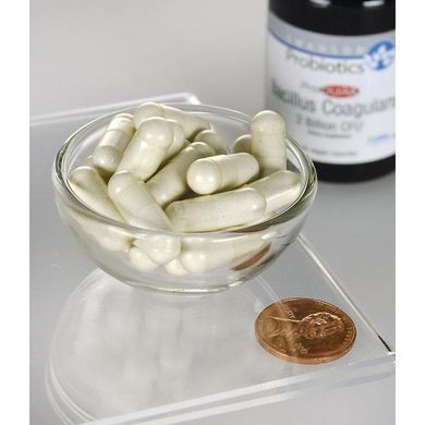 Bacillus Coagulans, ProDURA Bacillus Coagulans, Swanson, 2 billion CFU, 30 capsules.