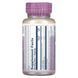 Экстракт семян сельдерея, Celery Seed Extract, Solaray, 100 мг, 30 вегетарианских капсул фото