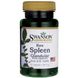 Сырая селезенка железистая, Raw Spleen Glandular, Swanson, 200 мг, 60 капсул фото