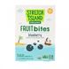 Fruit Bites, Blueberry, Stretch Island, 5 pouches, 0.7 oz (100 g) фото