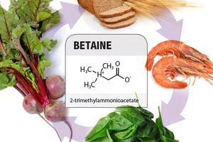 Що таке бетаїн — користь речовини для печінки