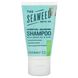 Зволожуючий балансуючий шампунь, евкаліпт і м'ята, The Seaweed Bath Co., 1,5 рідких унції (44 мл) фото