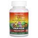 Вітамін D3 зі смаком чорної вишні, без цукру Nature's Plus (Vitamin D3, Animal Parade) 500 МО 90 цукерок фото