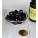 Астаксантин, High Potency Astaxanthin, Swanson, 8 мг, 30 капсул фото
