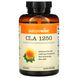 NatureWise, CLA 1250, 1000 мг, 90 мягких таблеток фото