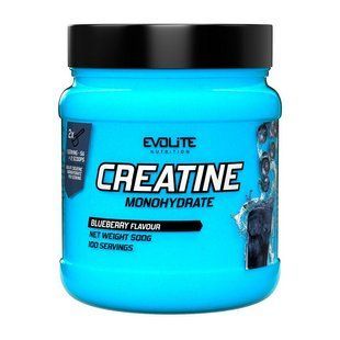 Creatine Monohydrate Evolite Nutrition 500 g Blueberry