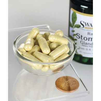 Сырой желудок железистый, Raw Stomach Glandular, Swanson, 250 мг, 60 капсул купить в Киеве и Украине