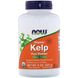 Бурые водоросли Now Foods (Organic Kelp Pure Powder) 227 г фото