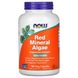 Красные водоросли Now Foods (Red Mineral Algae Plus Vitamin D-2) 180 капсул фото