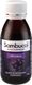 Самбукол сироп для імунітету Чорна бузина для дорослих та дітей від 3 років Sambucol (Original) 120 мл фото