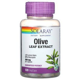Extract of Olive Leaves Solaray (Olive Leaf Extract) 250 mg 120 capsules