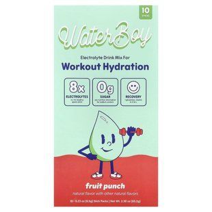 Waterboy, Workout Hydration, Electrolyte Drink Mix, Fruit Punch, 10 Stick Packs, 0.23 oz (6.5 g) Each