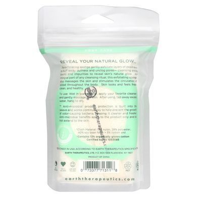Earth Therapeutics, Hydro Sponge, прямокутна, 1 шт