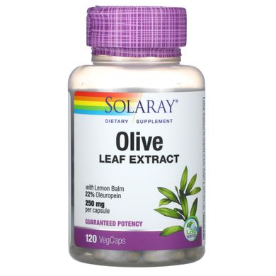 Екстракт листя оливи Solaray (Olive Leaf Extract) 250 мг 120 капсул